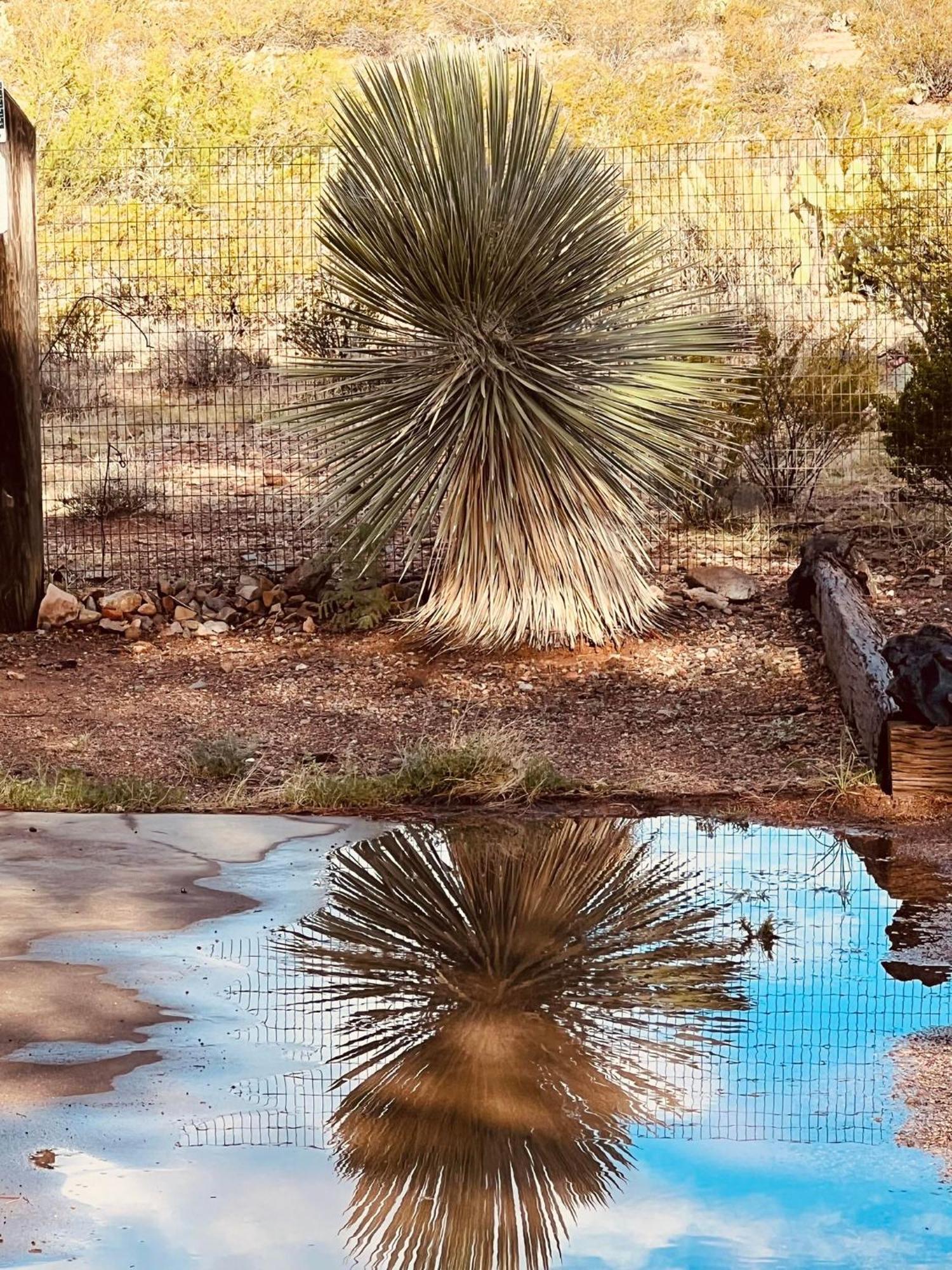Hole In The Wall Getaway - Usa Mexico Border Bed And Breakfast Columbus Esterno foto